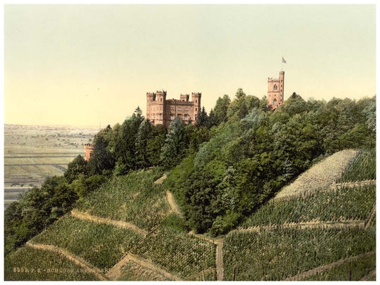 Artenberg Castle, Black Forest, Baden, Germany 0400-3371
