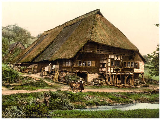 A Peasant's house, Black Forest, Baden, Germany 0400-3893