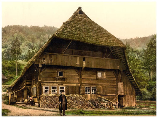 A Peasant's house, Black Forest, Baden, Germany 0400-3894