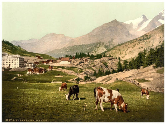 Saas Fee, a landscape, Valais, Alps of, Switzerland 0400-4529