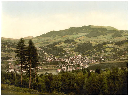 Wald, general view, Zurich, Switzerland 0400-4580
