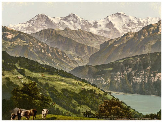 Beatenberg, view of Jungfrau, Monch and Eiger, Bernese Oberland, Switzerland 0400-4634