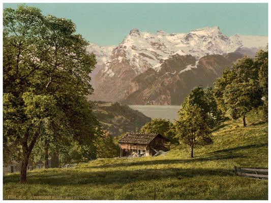 Axenstein, Park and Urirotstock, Lake Lucerne, Switzerland 0400-5001