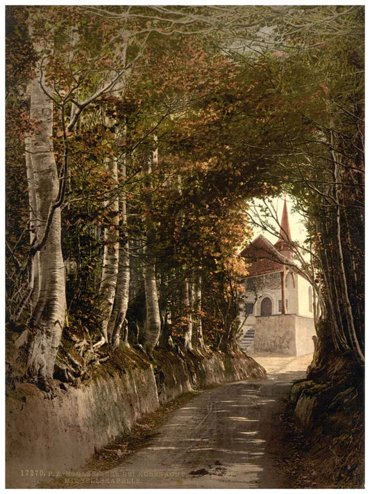 Tell's Chapel, the lane through the woods near Kussnacht, showing the chapel, Lake Lucerne, Switzerland 0400-5040