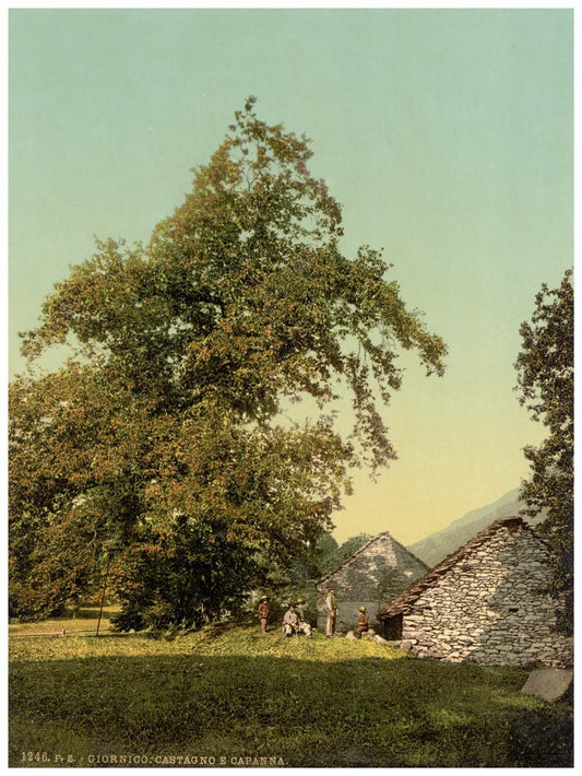 Giornico, peasant's hut, St. Gotthard Railway, Switzerland 0400-5088