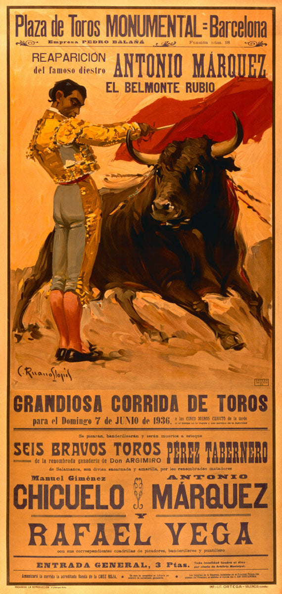 Plaza de Toros Bullfighting Spain poster  0000-0025