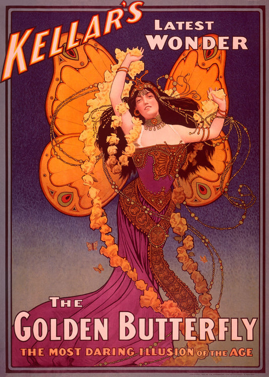 Golden Butterfly Illusion Poster 0000-6134