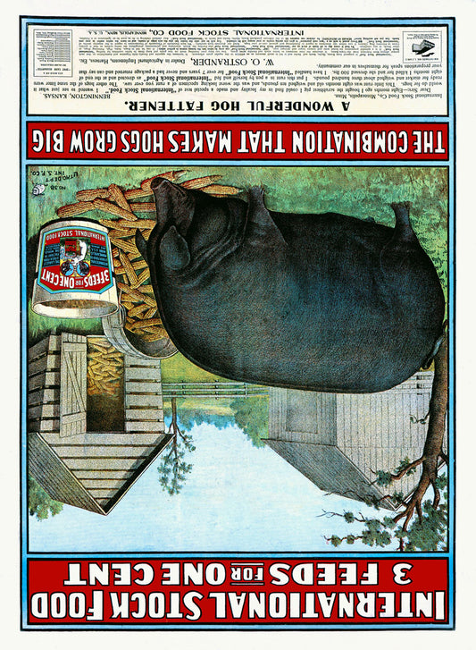 International Hog Swine Feed Poster 0000-6236