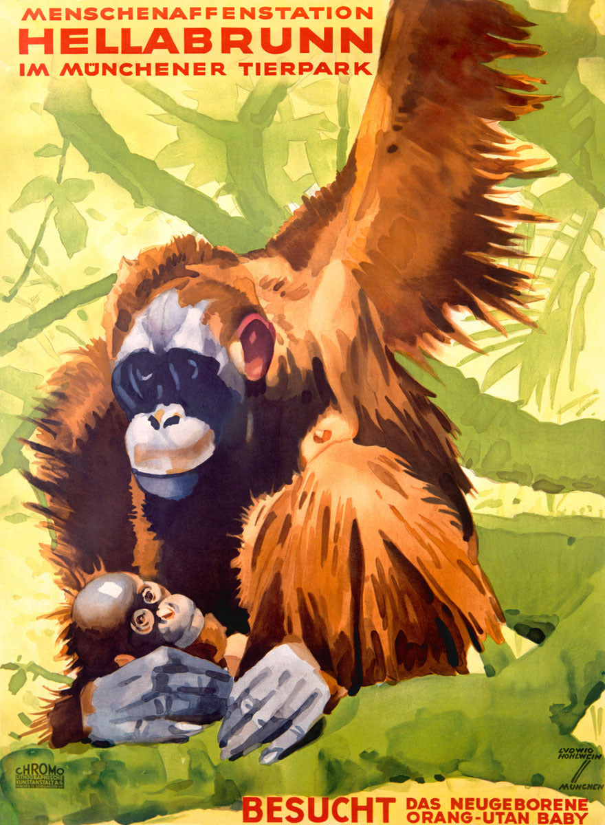 Munich Hellabrunn Zoo Ape Poster 0000-6799