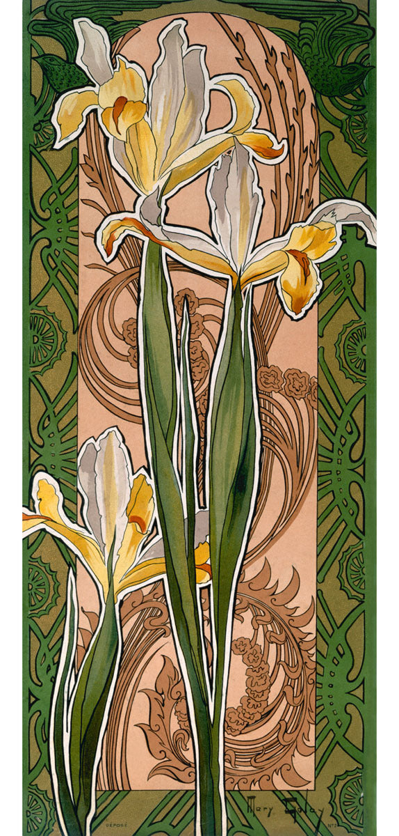 Golay Nouveau Iris Flower Poster 0000-8227