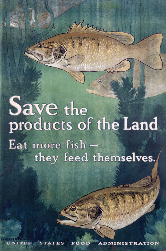 Eat More Fish Vintage Poster 0002-2598