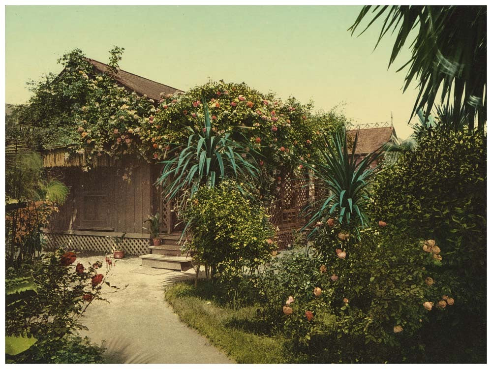 Rose-covered cottage, Pasadena 0400-2085