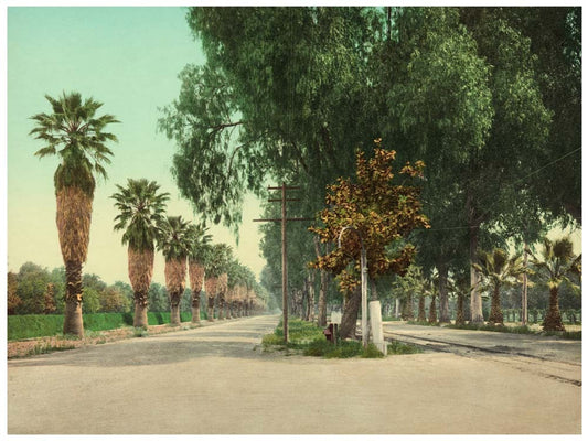 Magnolia Avenue, Riverside, Cal 0400-2105