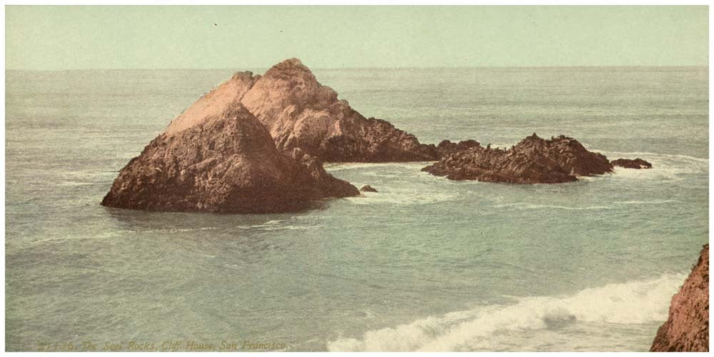 The Seal Rocks, Cliff House, San Francisco 0400-2124