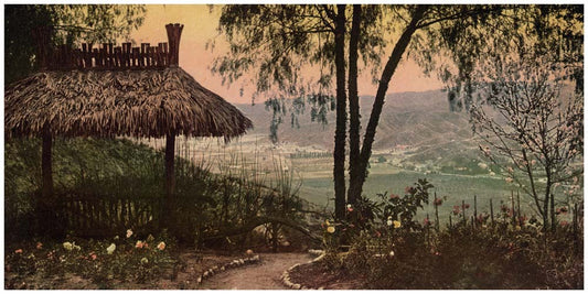 View from Smiley's Heights, Redalnds, Cal. 0400-2157