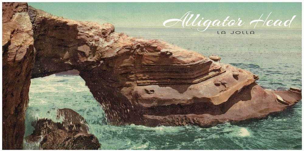 Alligator Head, La Jolla (with Fonts) 0400-2174