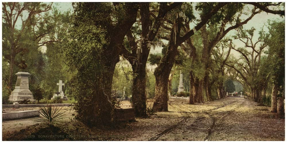 Bonaventure Cemetery, Savannah, Georgia 0400-2276