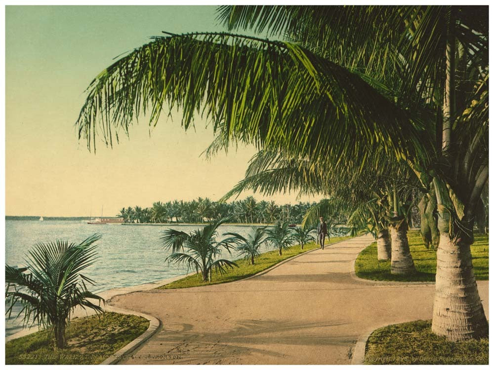 The walk at Palm Beach 0400-2319