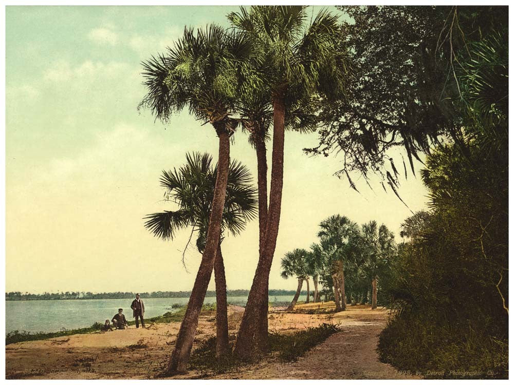 Scene; Indian River, Florida 0400-2326