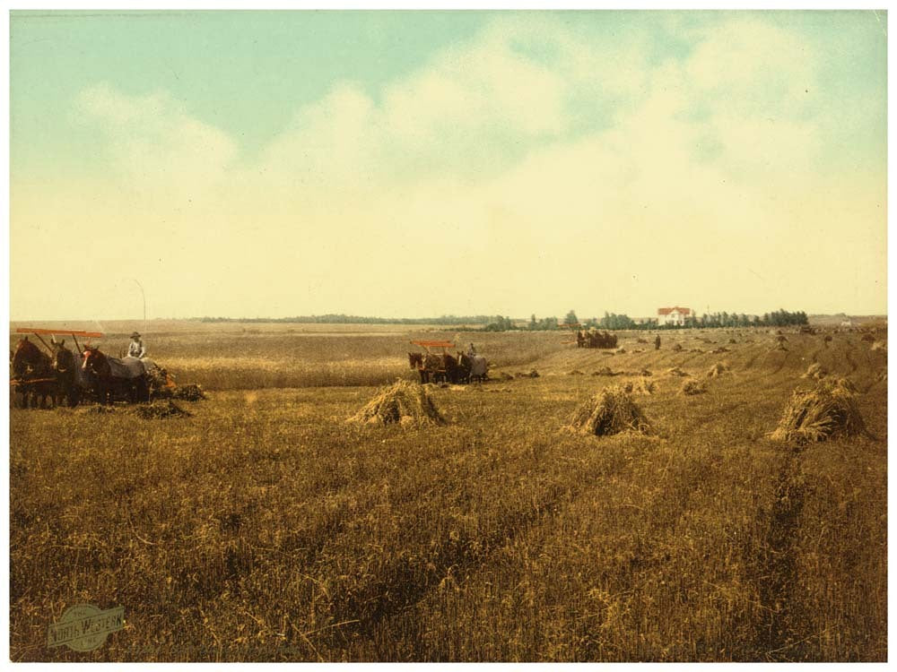 South Dakota harvest field 0400-2337