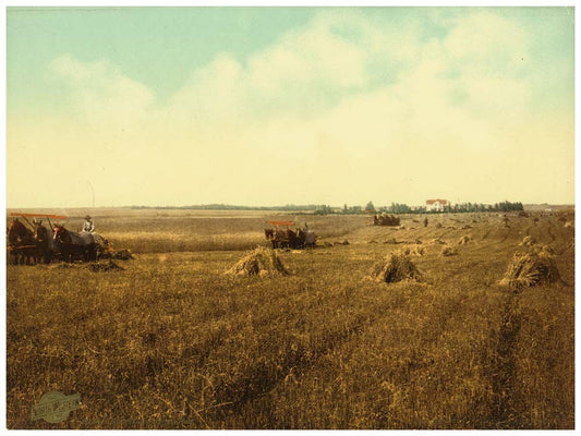 South Dakota harvest field 0400-2337