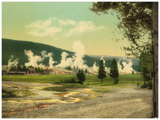 Military Post and giantess group, Yellowstone Park 0400-2346