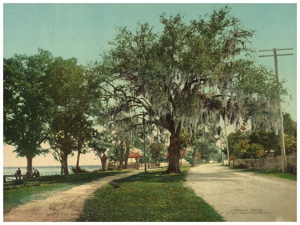 Along the bay, Bay St. Louis, Miss. 0400-2446