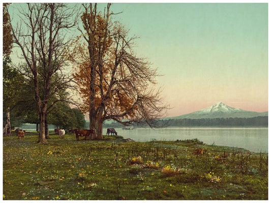 Mt. Hood from the Columbia River 0400-2452