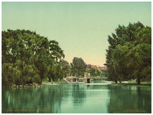 Lake in the Public Garden, Boston 0400-2458