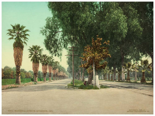 Magnolia Avenue, Riverside, Cal. 0400-2496