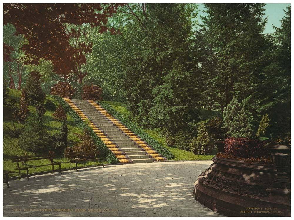 Floral steps, Prospect Park, Brooklyn, N.Y. 0400-2551