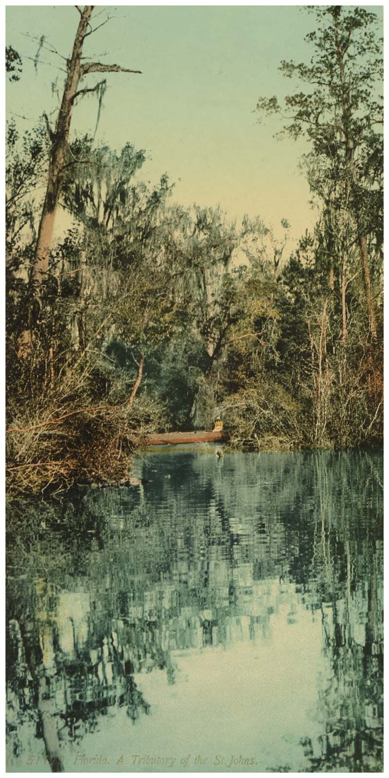 Florida. Tributary of the St. Johns 0400-2586