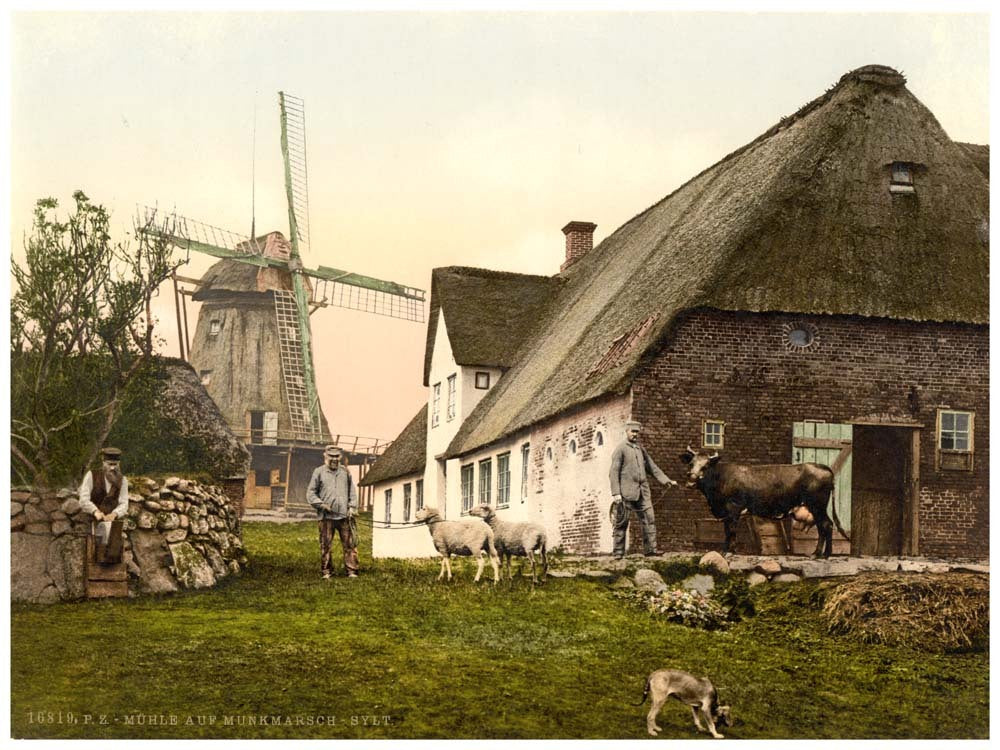The mill at Munkmarsch, Sylt, Schleswig-Holstein, Germany 0400-3630