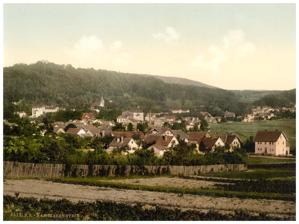 Bath of Liebenstein (i.e., Bad Liebenstein), from the Reichshohe, Thuringia, Germany 0400-3707