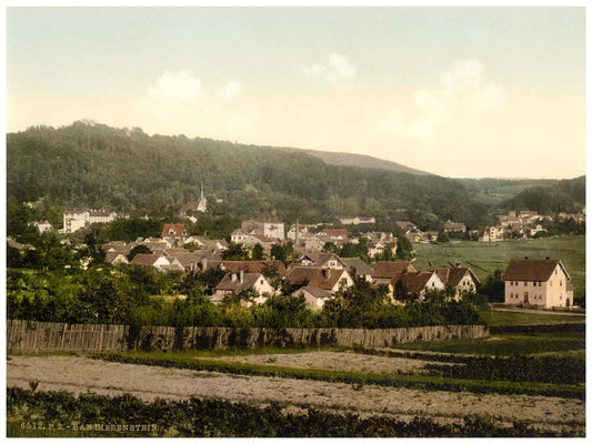 Bath of Liebenstein (i.e., Bad Liebenstein), from the Reichshohe, Thuringia, Germany 0400-3707