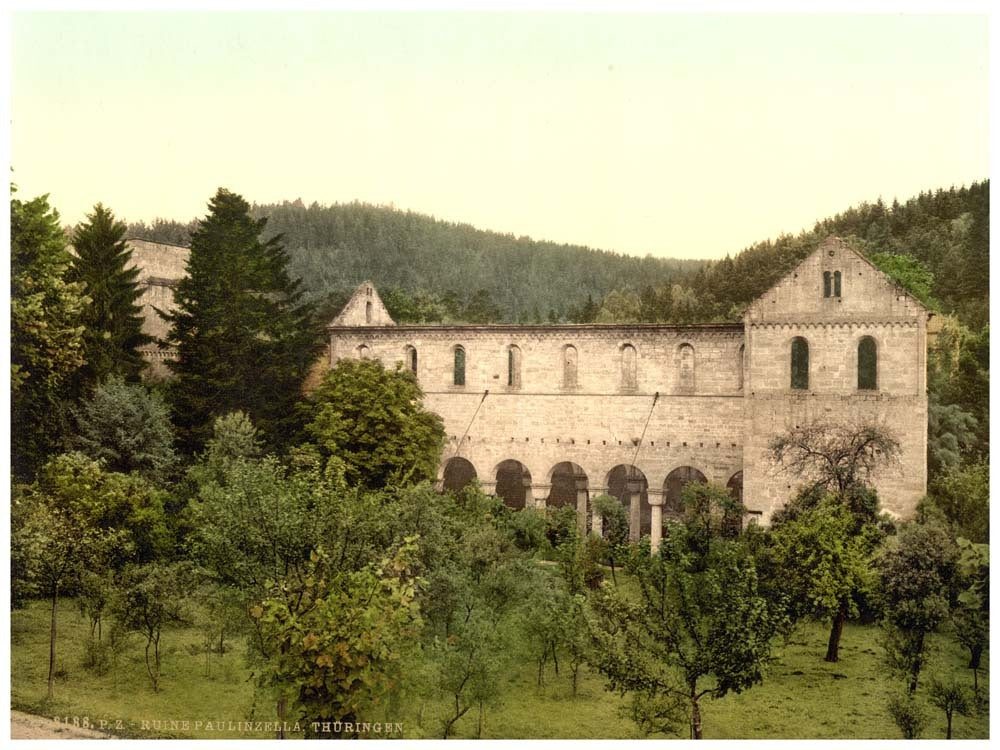 Ruins of the convent, Paulinzella, Thuringia, Germany 0400-3716