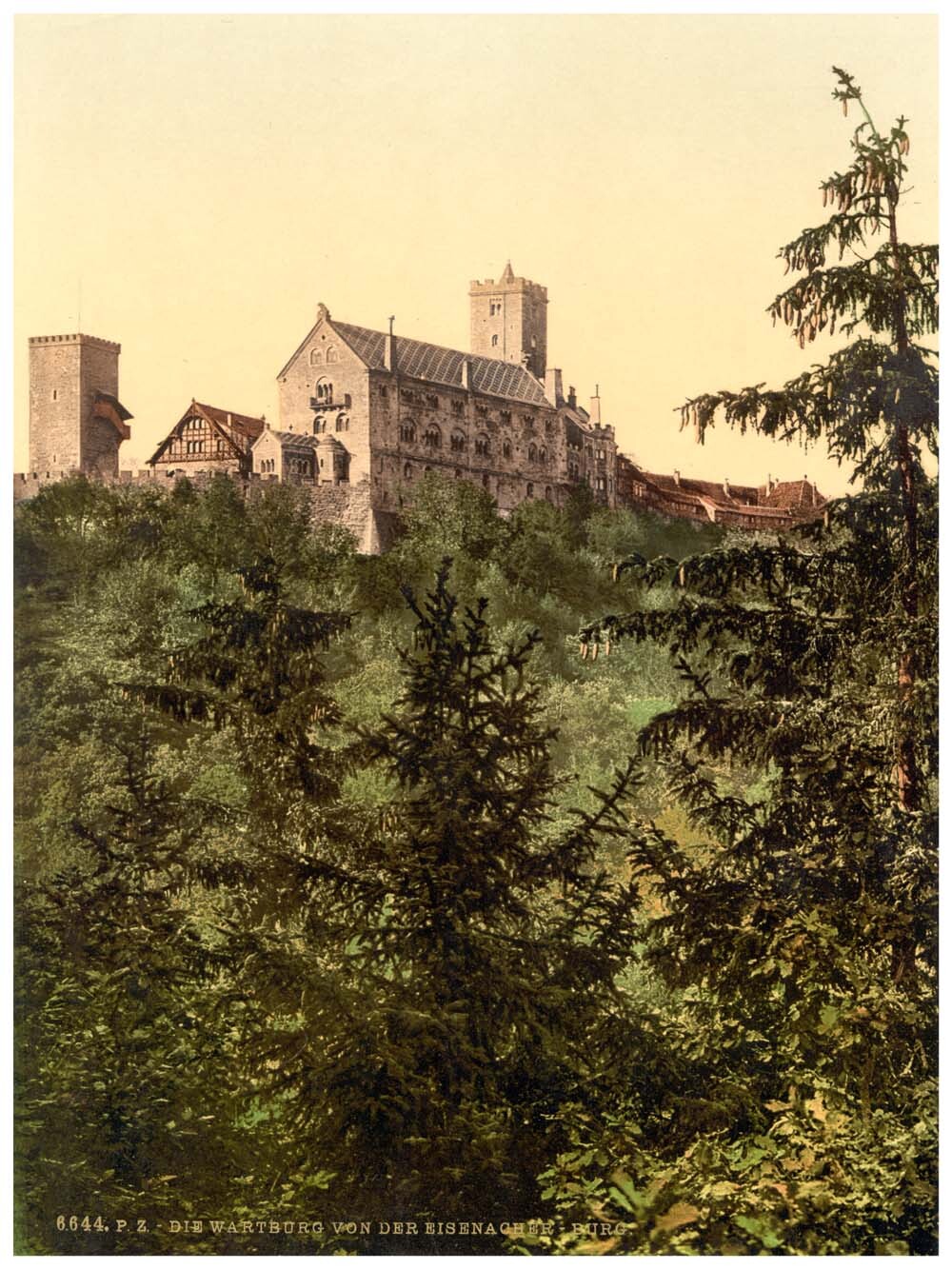 Wartburg, from Eisenach Castle, Thuringia, Germany 0400-3739