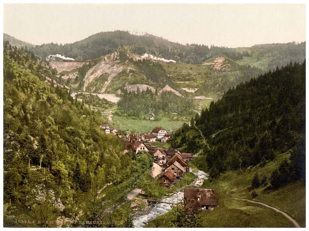 Looking towards the railroad near Treiberg, Treiberg, Black Forest, Baden, Germany 0400-3888