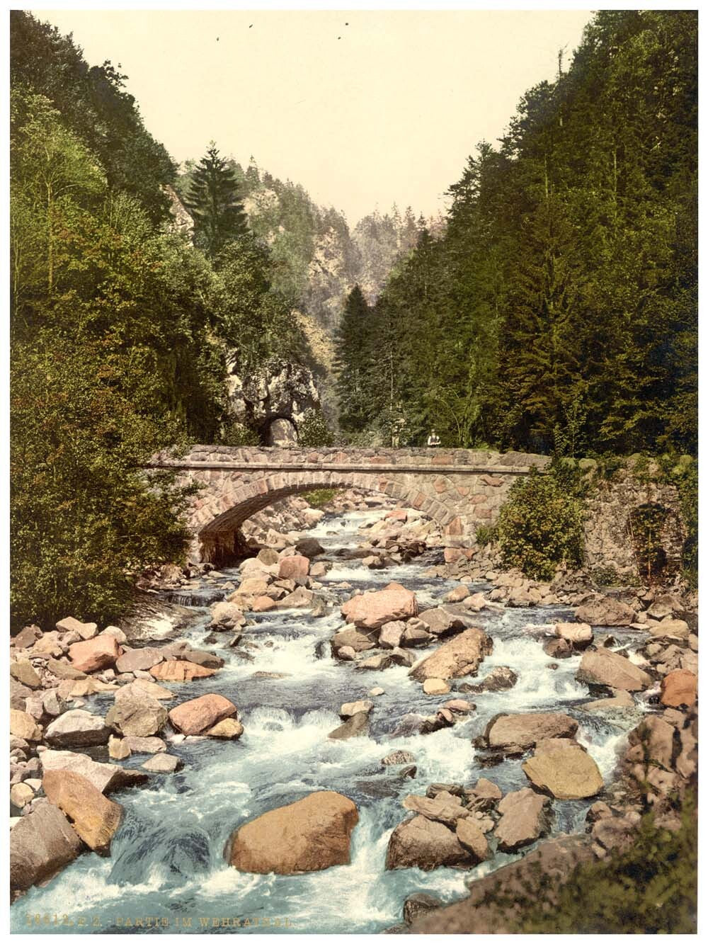 A View in the valley, Wehrathal, Black Forest, Baden, Germany 0400-3889