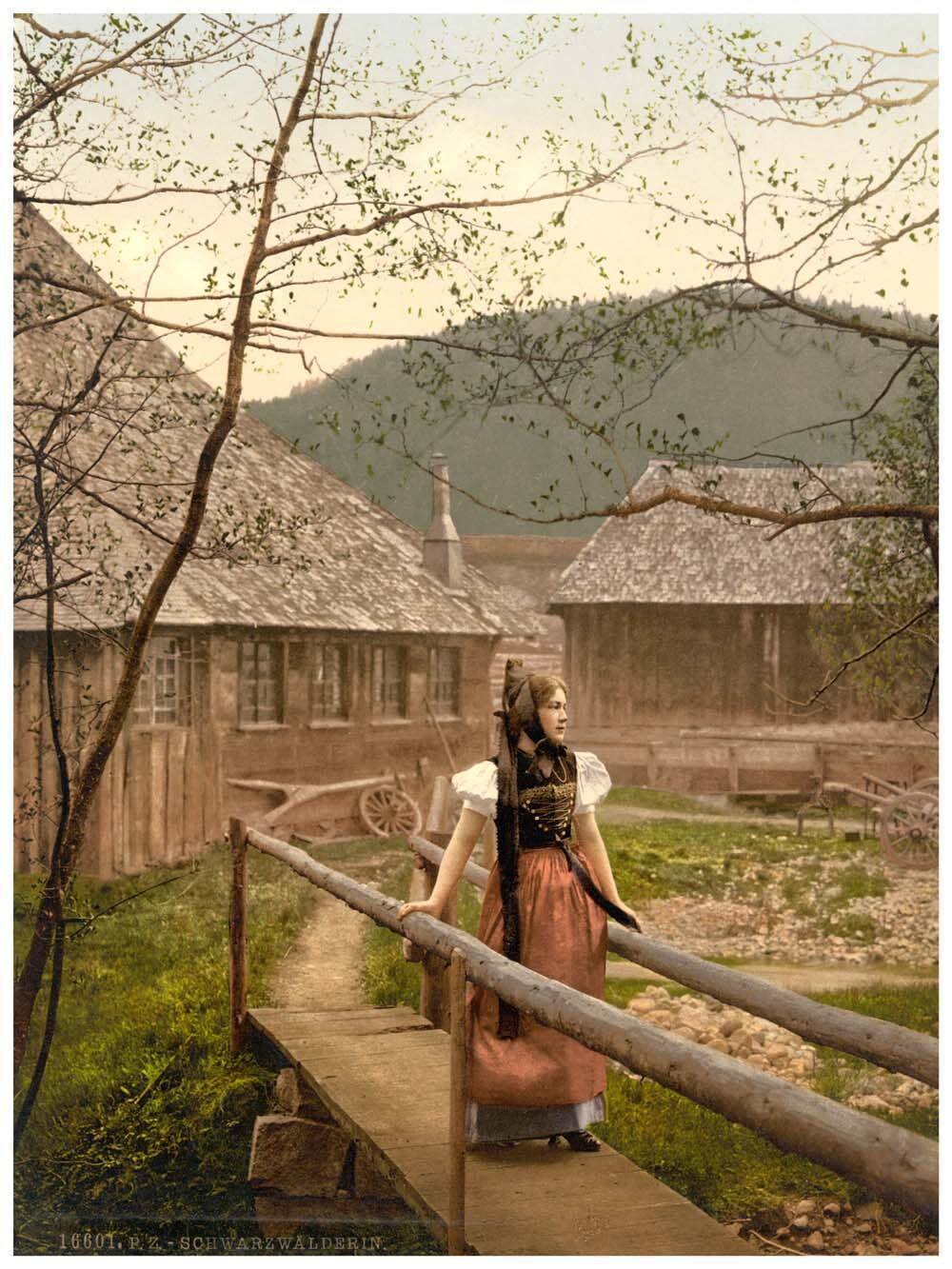 A girl of the Black Forest, Black Forest, Baden, Germany 0400-3896