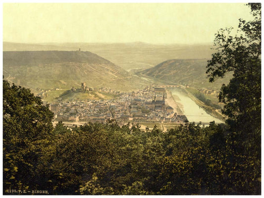 From Niederwald, Bingen, the Rhine, Germany 0400-3980