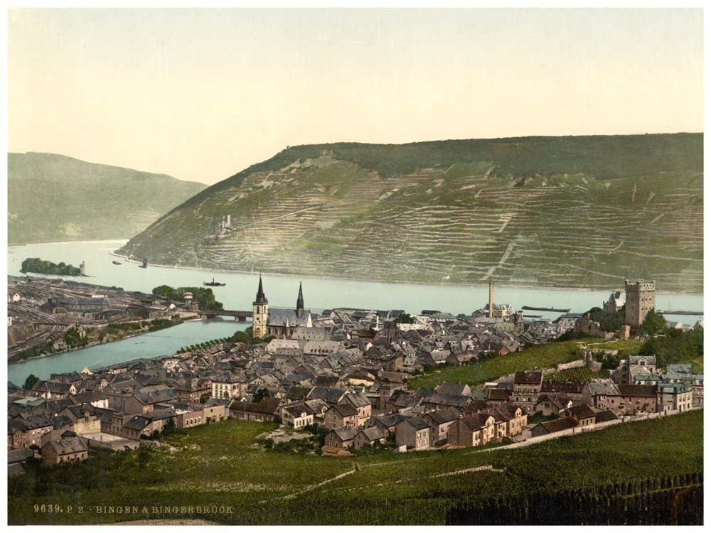 Bingen and the bridge, the Rhine, Germany 0400-3984