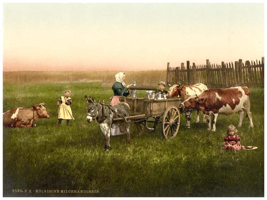 Milksellers, Cologne, the Rhine, Germany 0400-4018