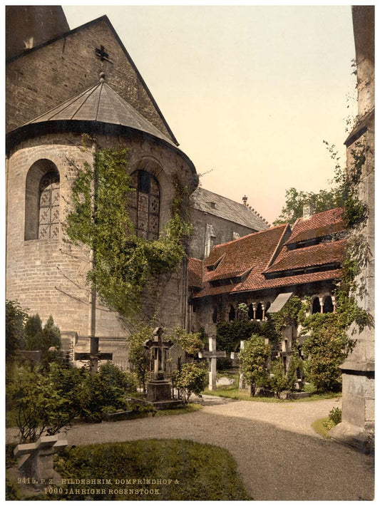 Cathedral, churchyard and 1,000 year old rose tree, Hildesheim, Hanover, Germany 0400-4231