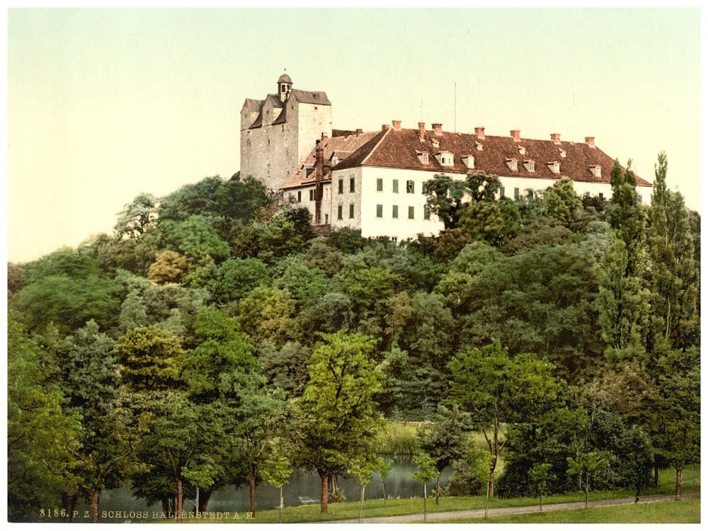 The castle, Ballenstedt, Hartz, Germany 0400-4250