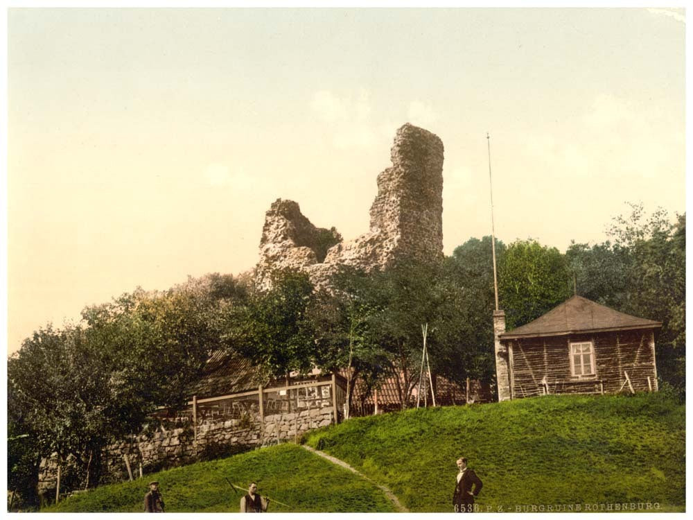 Ruined castle, Rothenburg, Hartz, Germany 0400-4316