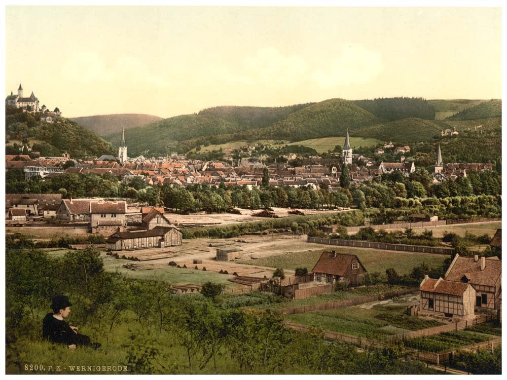 General view, Wernigerode, Hartz, Germany 0400-4326