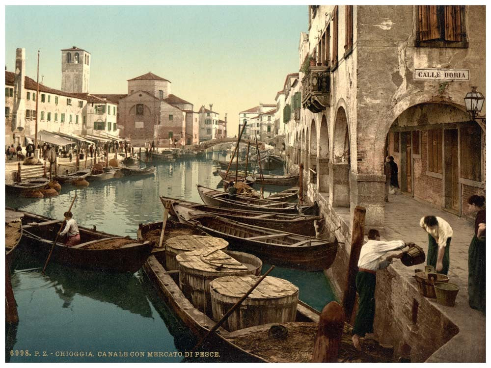 Chioggia, fish market, Venice, Italy 0400-4581