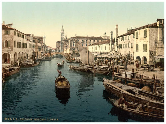 Chioggia, fish market, Venice, Italy 0400-4582