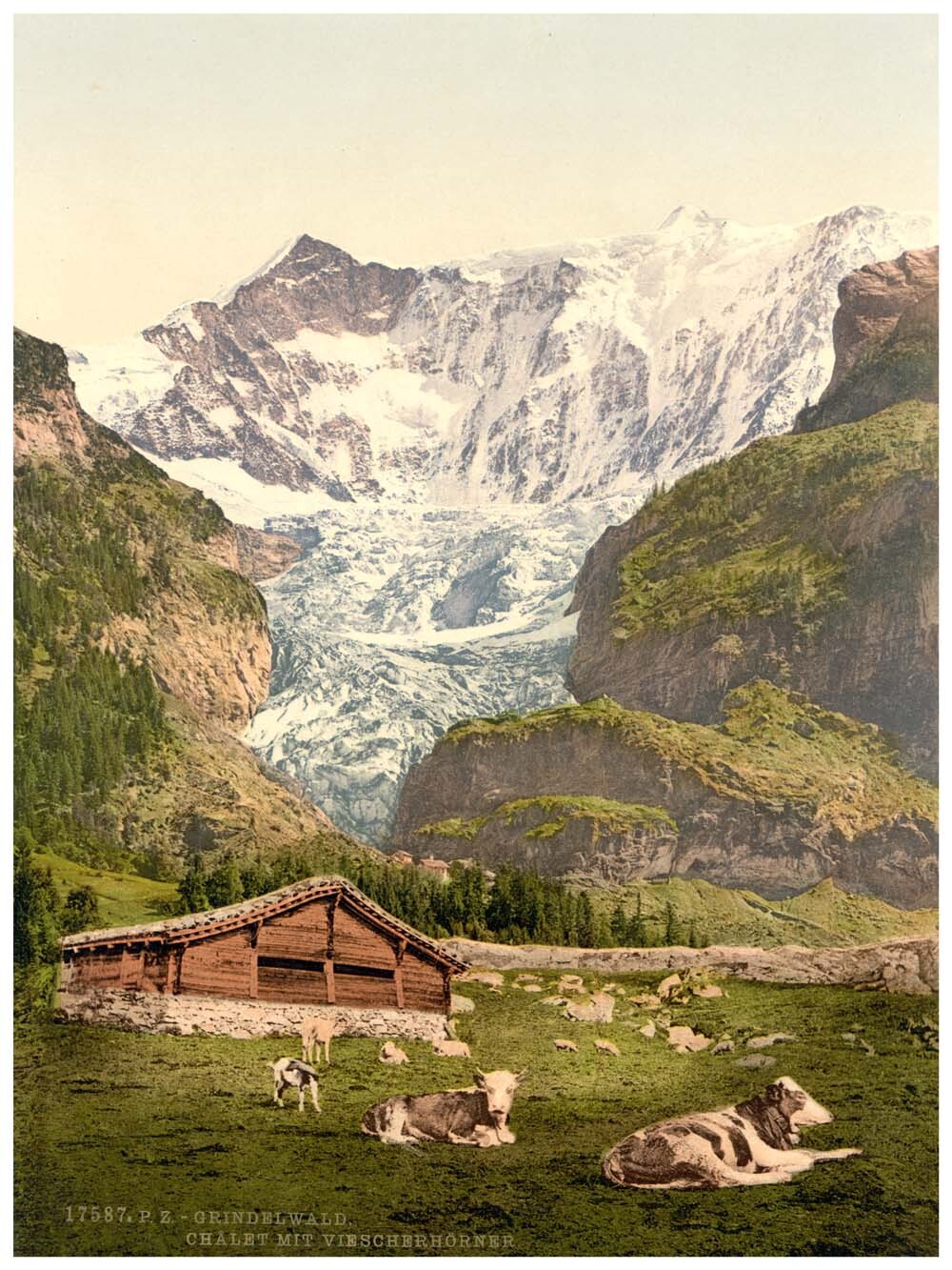 Grindelwald, chalet and Vischerhorn, Bernese Oberland, Switzerland 0400-4842